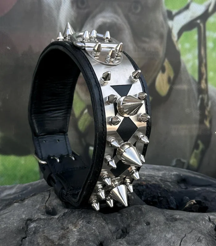 Handmade Spiked Leather Dog Collar: Custom Engraved Name Plate