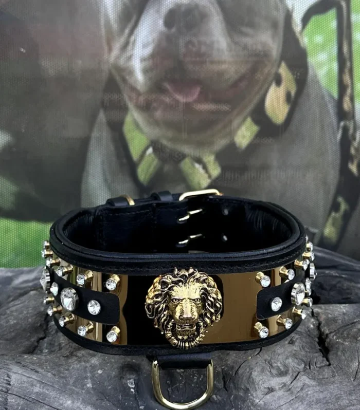 Handmade Leather Dog Collar: Personalized Engraved Name Plate