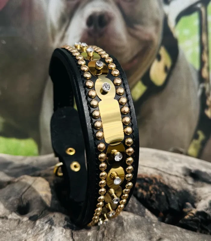 Handmade Gold Spiked Leather Dog Collar: Custom Laser Name, Medium Breeds