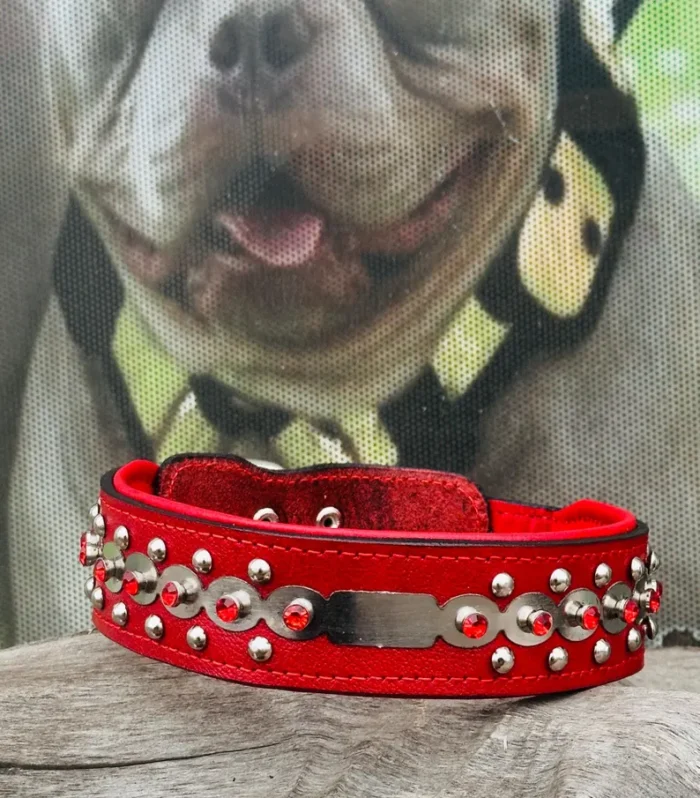 Luxury Red Leather Dog Collar: Personalized Crystal Engraved Name