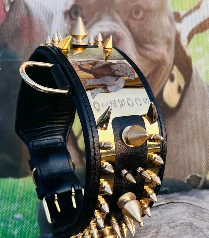 Handmade Spiked Leather Dog Collar: Gold Steel Plate, Custom Name, Large Breed