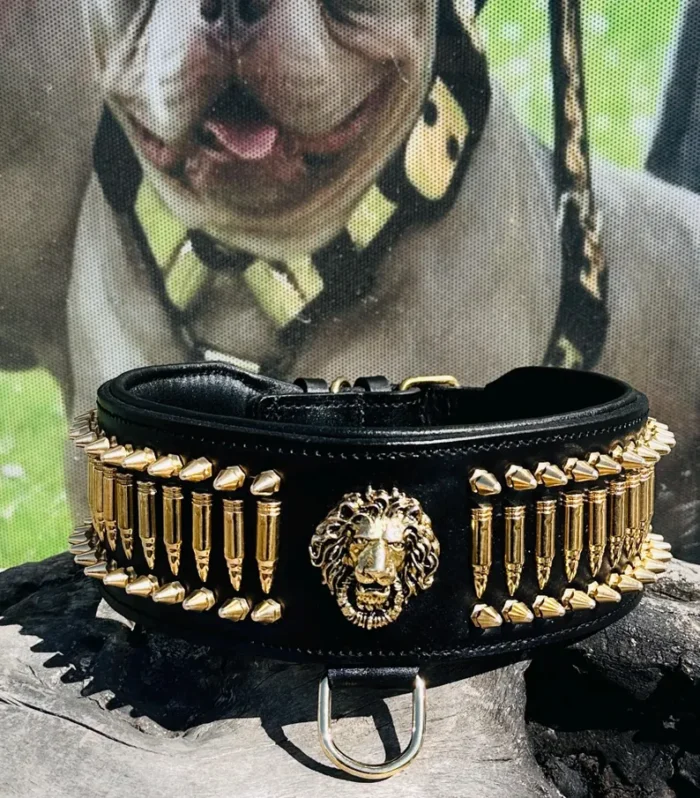 Handmade Wide Leather Dog Collar, Bullet Studs Collar, Lion Emblem Collar