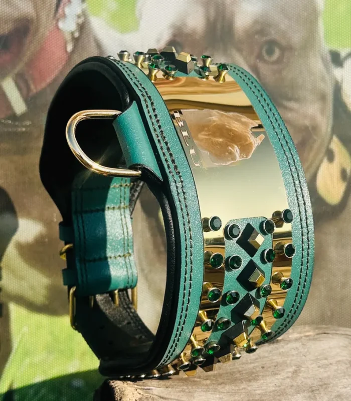 Custom Leather Dog Collar: Laser Engraved Photo, Crystal Accents