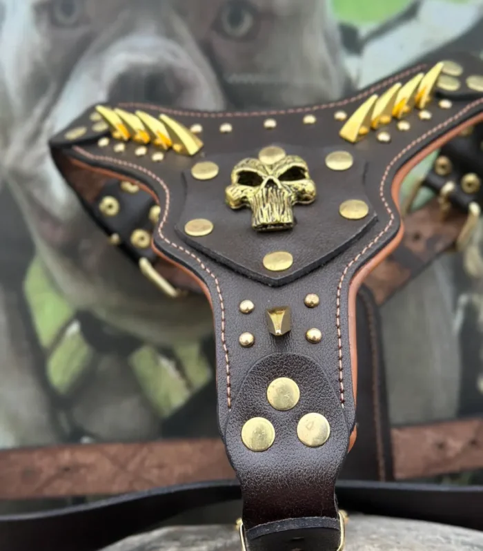 Handmade Buffalo Leather Dog Harness: Punisher Emblem, Large Breeds Collar - bulldog harness