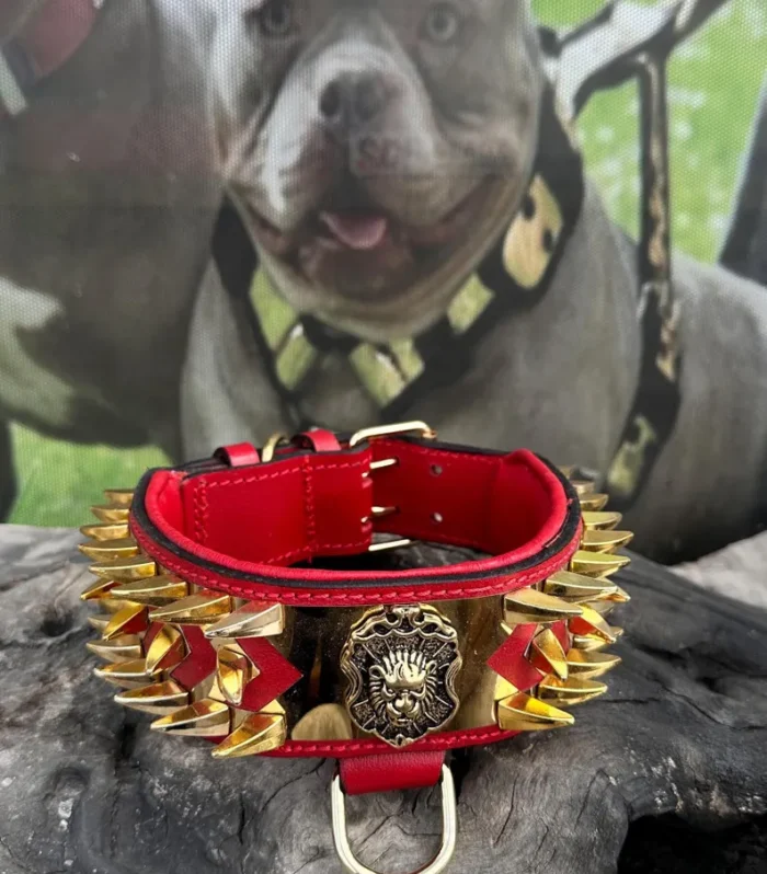 Extreme Spiked Dog Collar – Handmade Leather Power Collar for Large Breeds