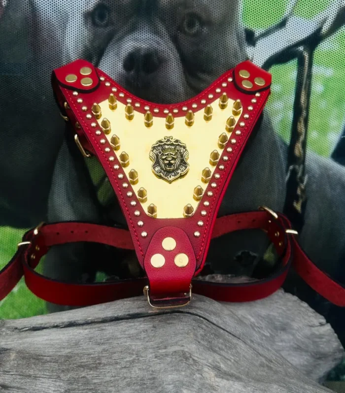 Handmade Buffalo Leather Dog Harness: Gold Hardware, Lion Emblem Collar, Comfort Dog Harness