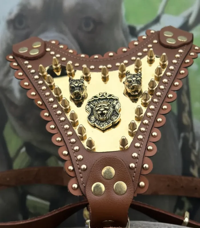 Gold Lion Leather Dog Harness - Handmade Leather Wide Dog Collar