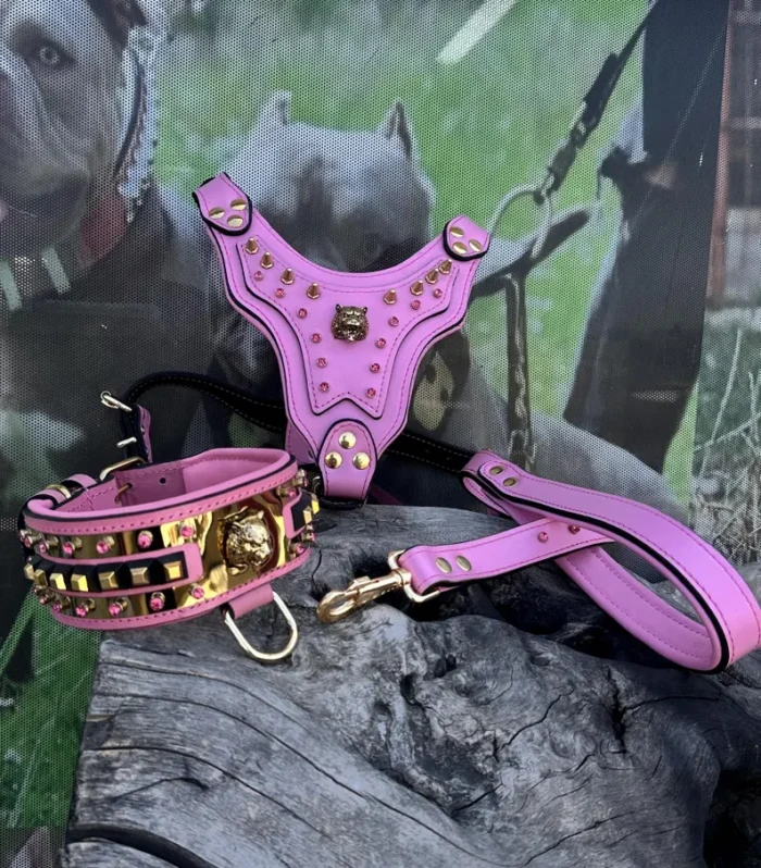 Handmade Pink Leather Dog Collar Harness Leash Set: Crystal Lion Emblem