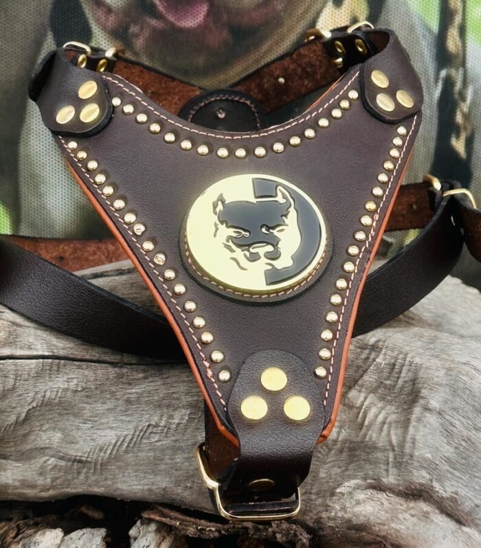 Handmade Buffalo Leather Dog Harness: Brass Studs & Pitbull Medallion