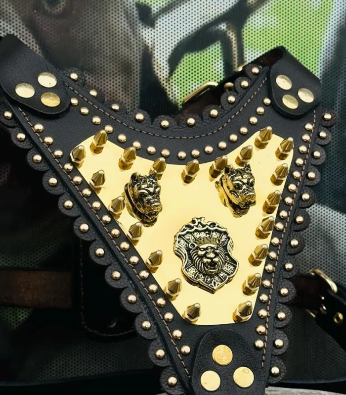 Luxury Buffalo Leather Dog Harness: Gold Lion Chest Plate, Handmade Power Strap