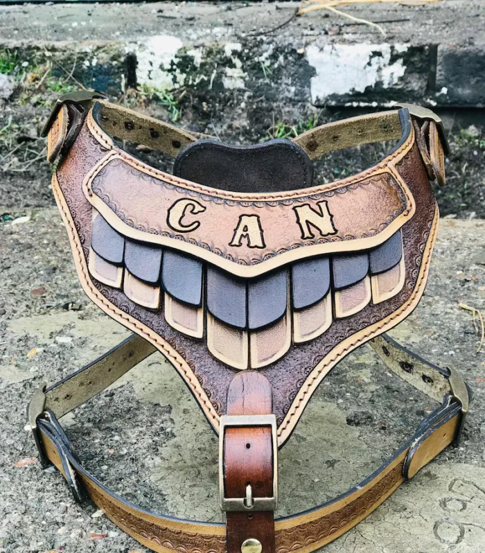 Handmade Buffalo Leather Dog Harness: Greek Mythology Inspired, Personalized Armor