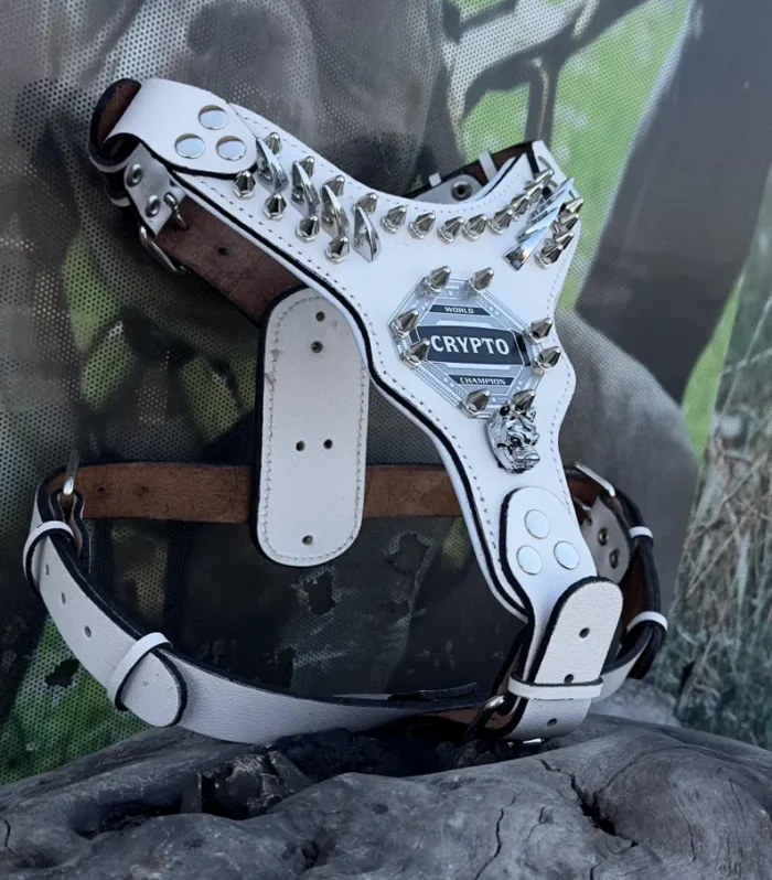 Handmade White Buffalo Leather Dog Harness Set: Custom Name Plate, Large Breed