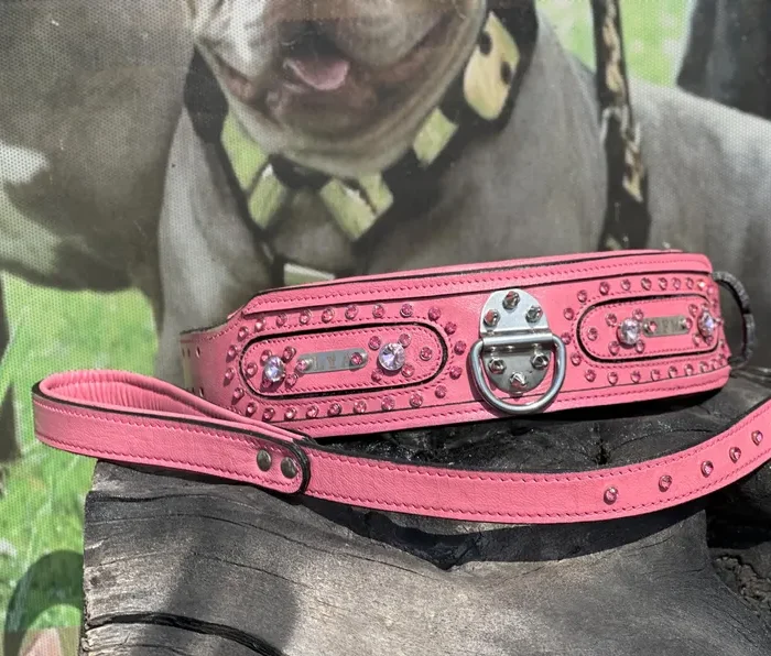 Handmade Pink Leather Dog Collar & Leash Set: Crystal Studded, Custom Name