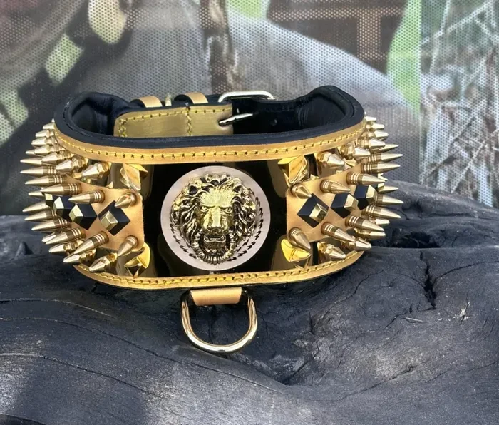 Luxury Gold Spiked Leather Dog Collar: Lion Plate, Handmade Customized Dog Collar
