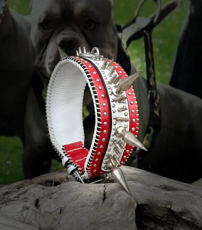 Handmade Buffalo Leather Spiked Dog Collar: Heavy Duty, Large Breeds, handmadedogcollar, thickdogcollar, canecorsodog collar