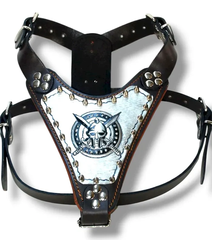 Custom Leather Dog Harness Set - Copper Plated, Personalized Name & Logo - Riveted dog collar