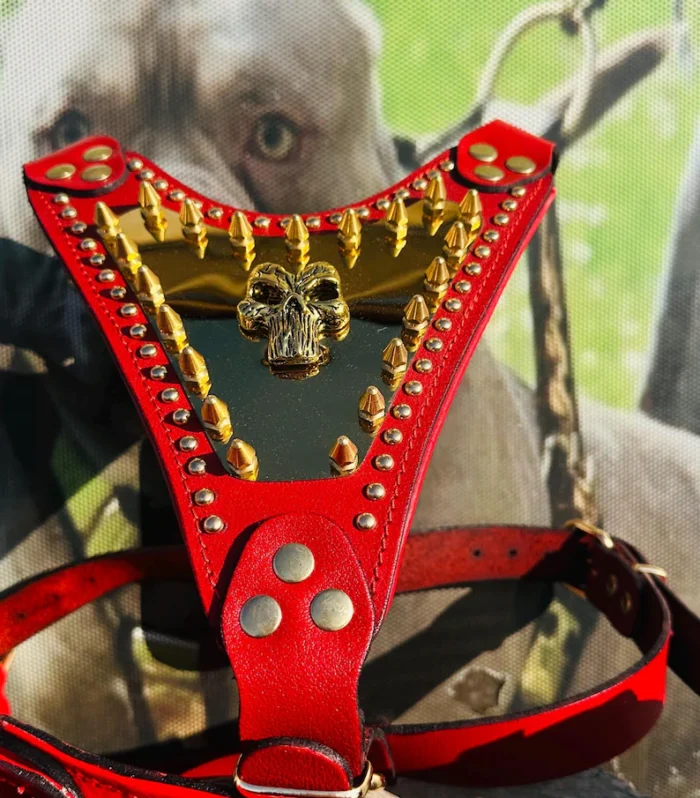 Handmade Red Leather Dog Harness - Spiked Dog Punisher Plate, Cane Corso, Big Dog Harness