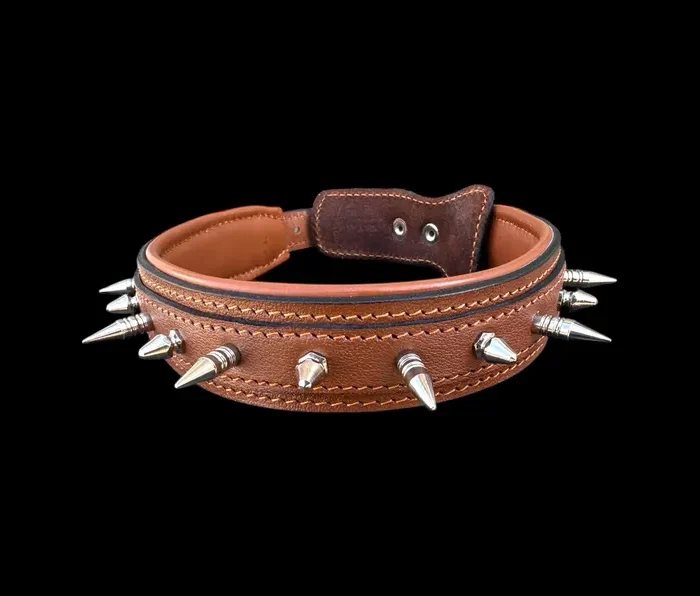Buffalo Leather Spiked Dog Collar - 1.4” Wide