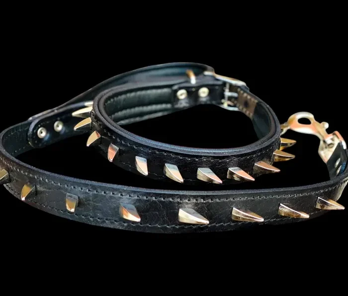 Handmade Spiked Buffalo Leather Dog Collar and Leash Set - Heavy Duty