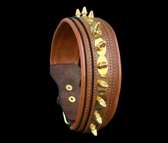 Buffalo Leather Spiked Dog Collar - Handmade Brown Gold Edition