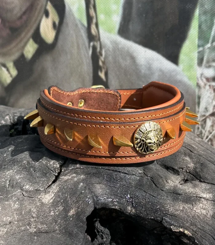 Native American-Inspired Spiked Handmade Leather Dog Collar - Medium Breeds