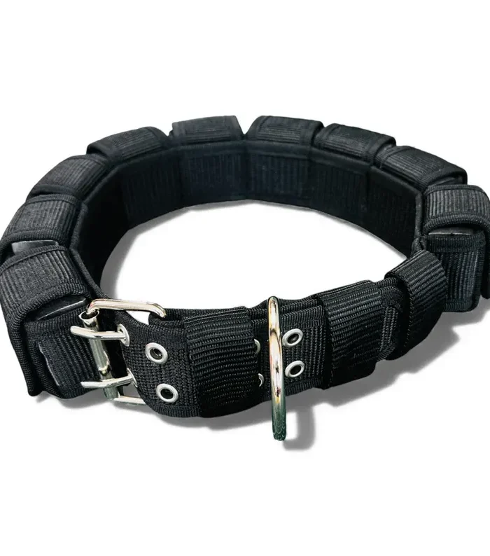 Weighted Training Dog Collar - Heavy Duty Neck Strength Builder (480g Each Weight)