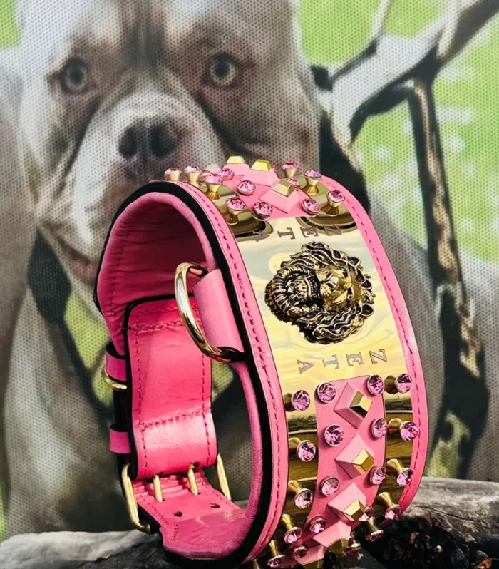 Pink Crystal Gold Plate Luxury Dog Collar - Handmade Heavy Duty