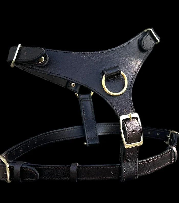 Black Buffalo Leather Dog Harness with Gold Hardware - Handmade