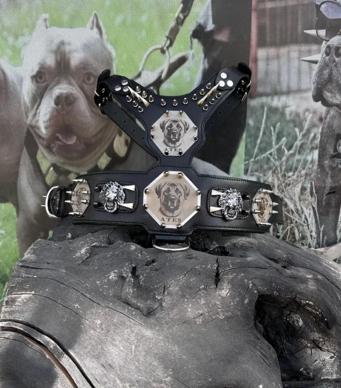 Custom Kangal Dog Collar, Harness & Leash Set - Handmade Leather Spike Set