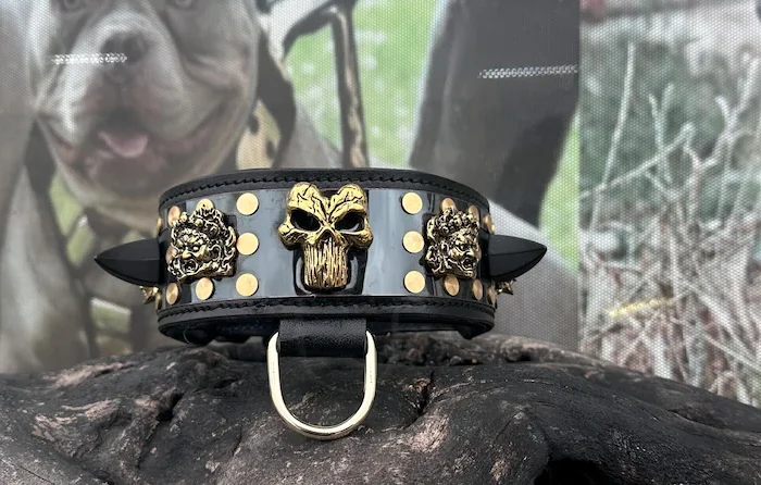 6 cm Wide Punisher Dog Collar – Handmade Leather Collar with Stainless Steel Plate