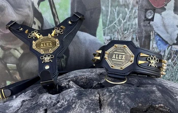 Handmade Leather Dog Collar Harness Leash Set – Custom Engraved Brass, Large Breeds