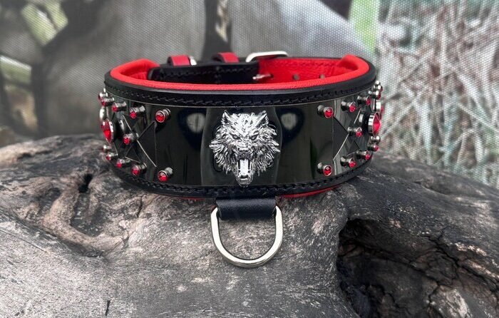 Crystal Studded Leather Dog Collar – Wide Steel Plate Collar for Large Breeds