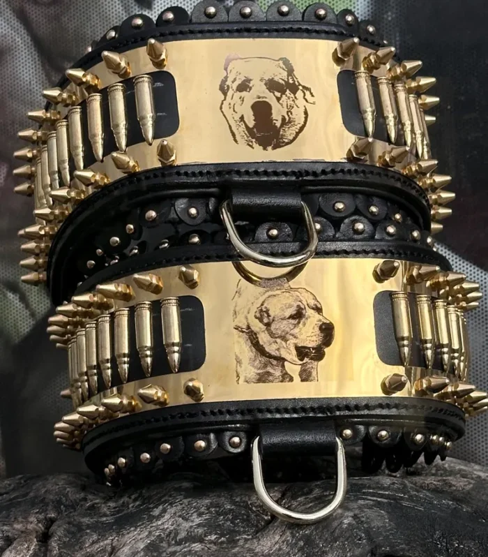 Custom Photo & Name Dog Collar – Bullet Style Luxury Handmade Leather Collar for Large Breeds