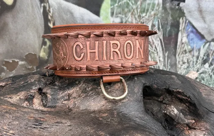 Handcrafted Copper Spiked Dog Collar – Personalized Leather Collar, Large Breeds