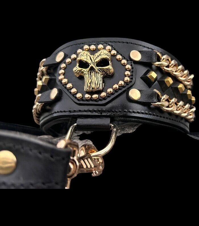 Wide Buffalo Leather Dog Collar with Gold Chain, Skull Emblem – Matching Leash Set