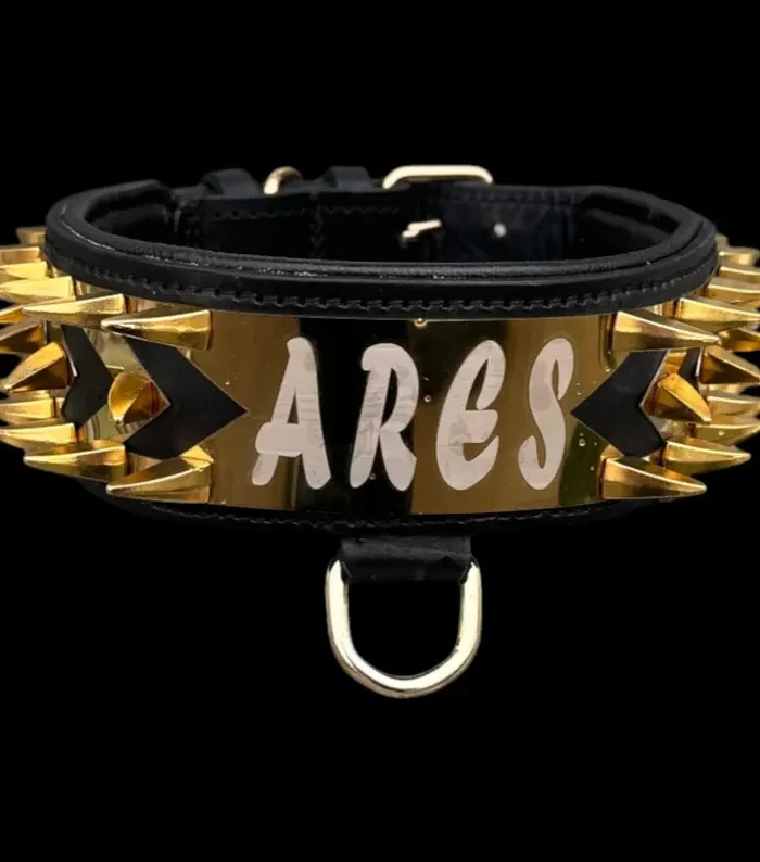 Personalized Spiked Leather Dog Collar – Custom Name Plate for Large Breeds