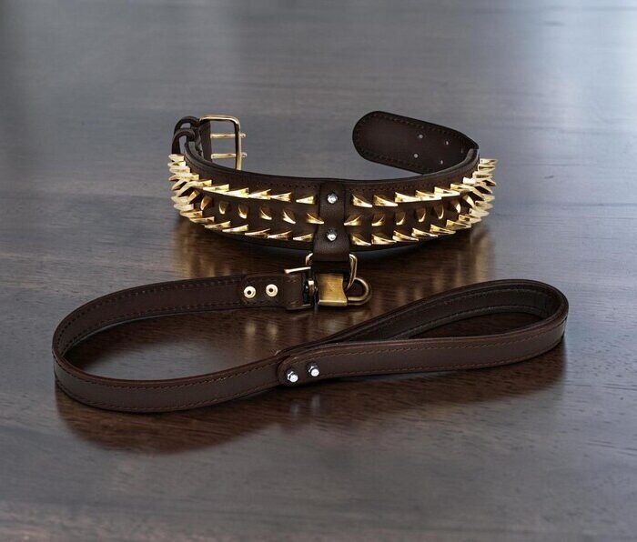 Extreme spiked dog collar, handmade leather wide collar, custom large breed dog collar