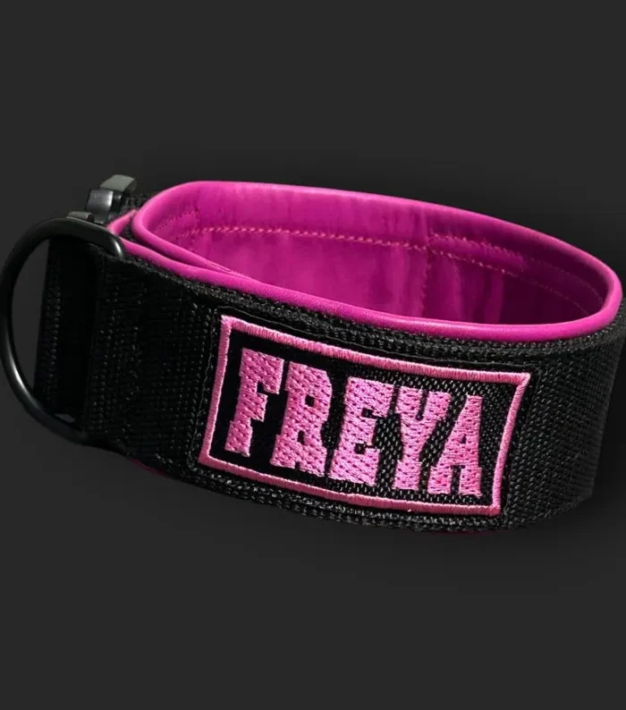 Custom Name Dog Collar, Personalized Embroidered Collar, Tactical Dog Collar 5 cm, Leather Lined, Strong Buckle, Adjustable Pet Collar