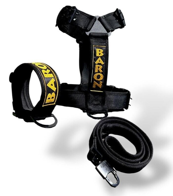 Custom tactical dog set with auto buckle, embroidered name collar, k9 harness and leash, personalized dog gear