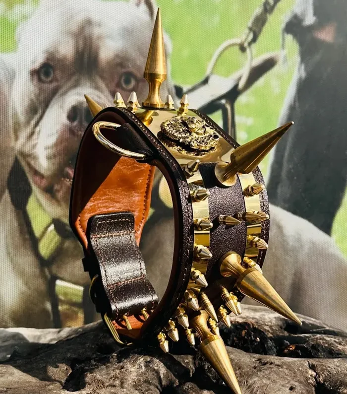 Handmade Leather Dog Collar: Extreme Spiked Gold Steel Collar for Large Breed
